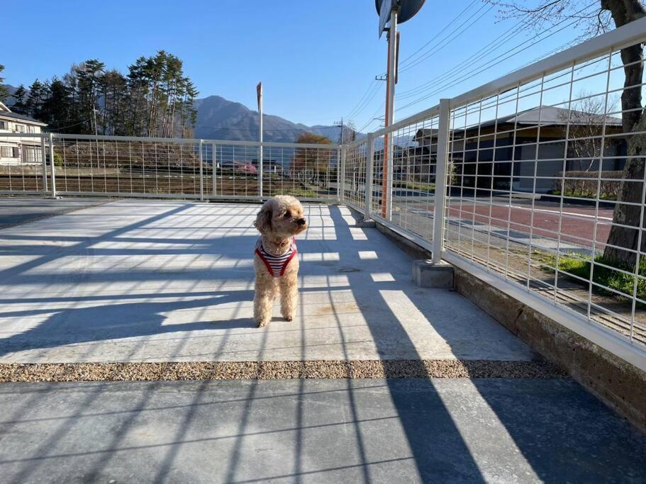 Mt. Fuji Kokoワンちゃんokの新築貸別荘 Fujikawaguchiko Exterior foto