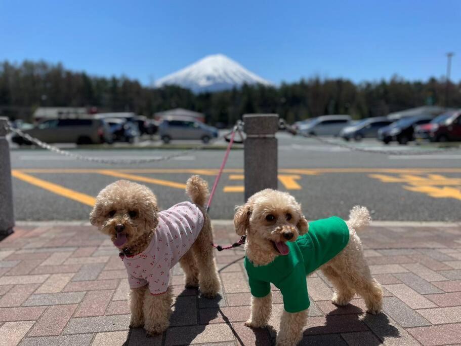 Mt. Fuji Kokoワンちゃんokの新築貸別荘 Fujikawaguchiko Exterior foto